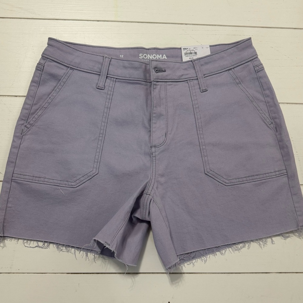 Sonoma Carpenter Shorts